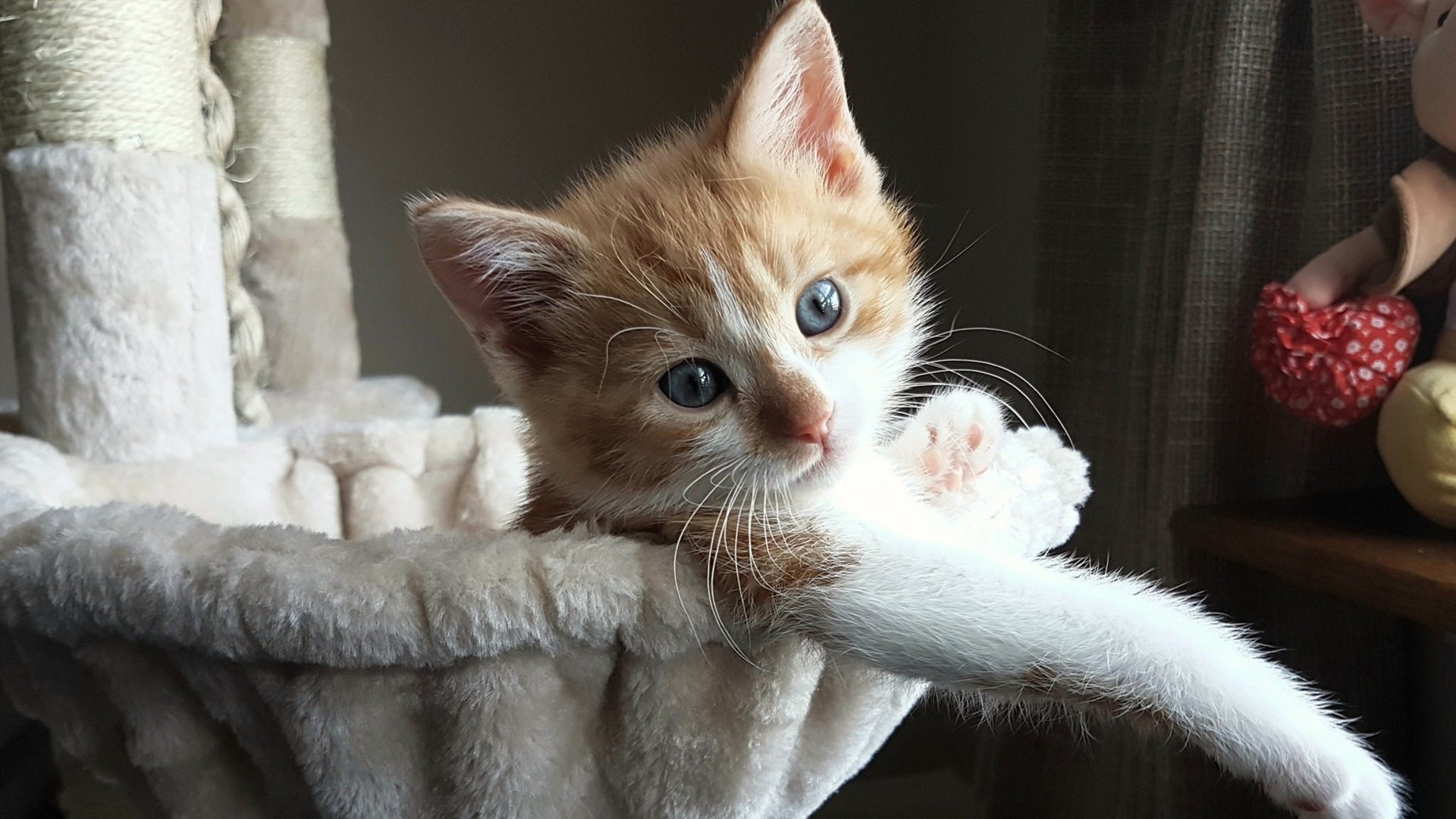 黑白棋盘上的极地风暴,韩国战术机器如何冰封冰岛狂想