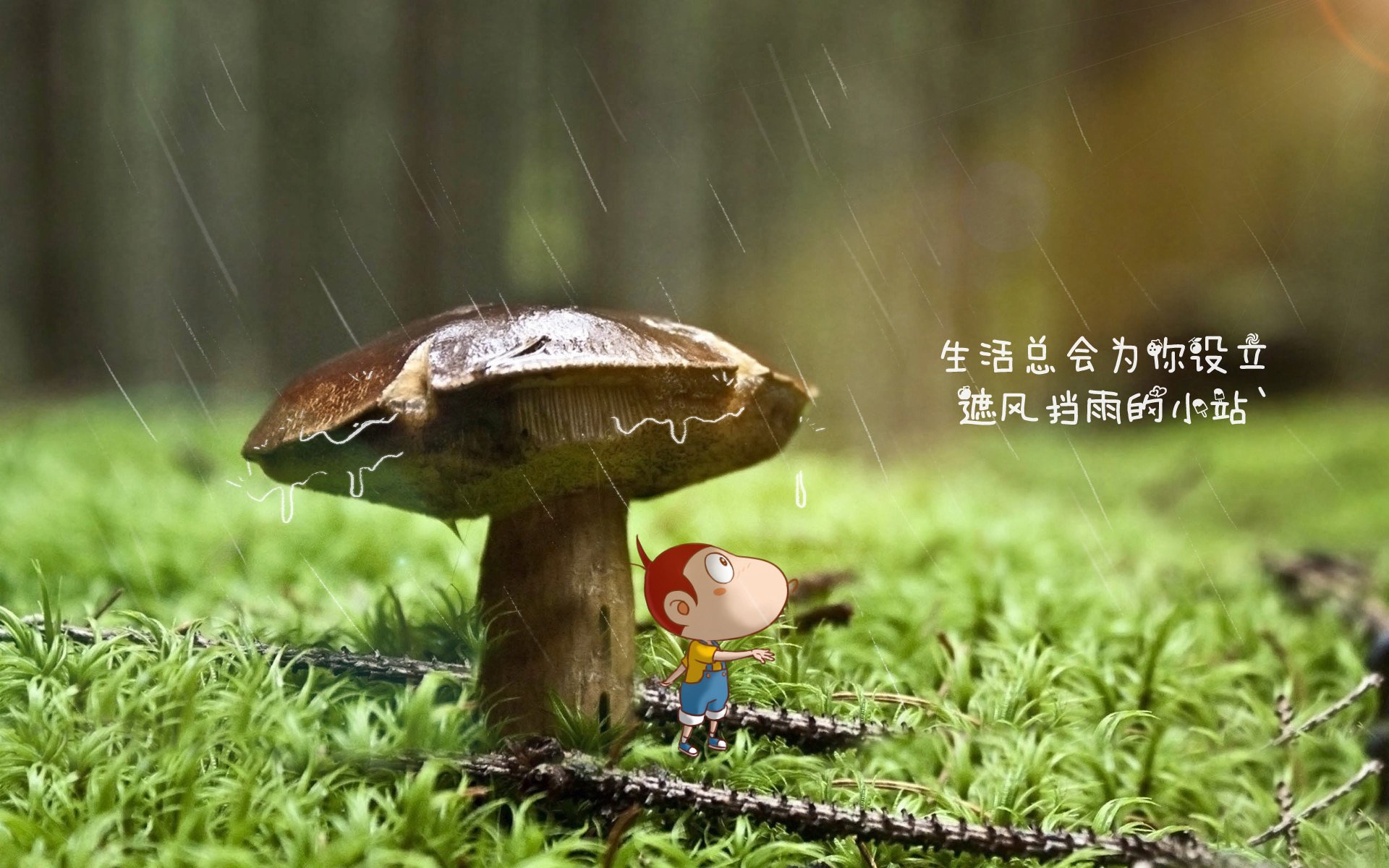 悬念的两种形态，伦纳德提前终结与森林狼绝杀湖人