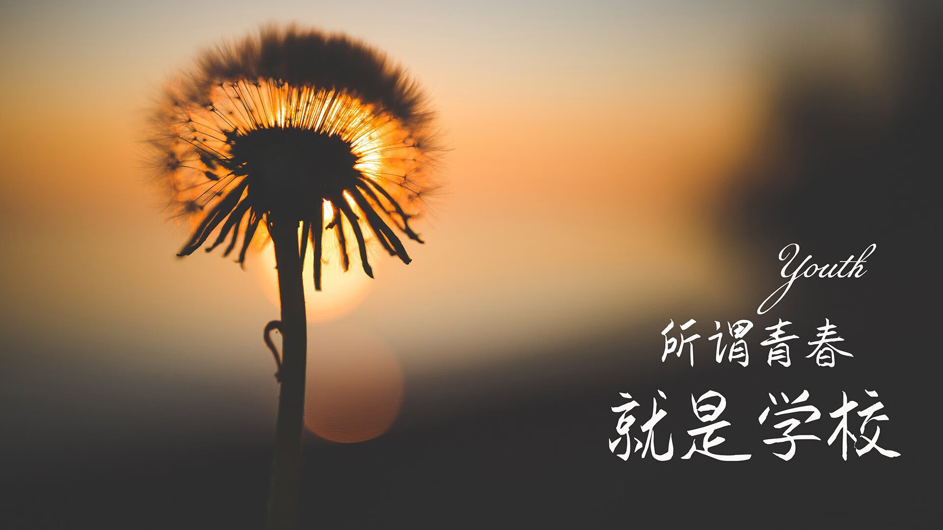 逆转弗里茨,萨内划破北美苍穹,瑞士钢铁意志在2026世界杯F组写下唯一剧本